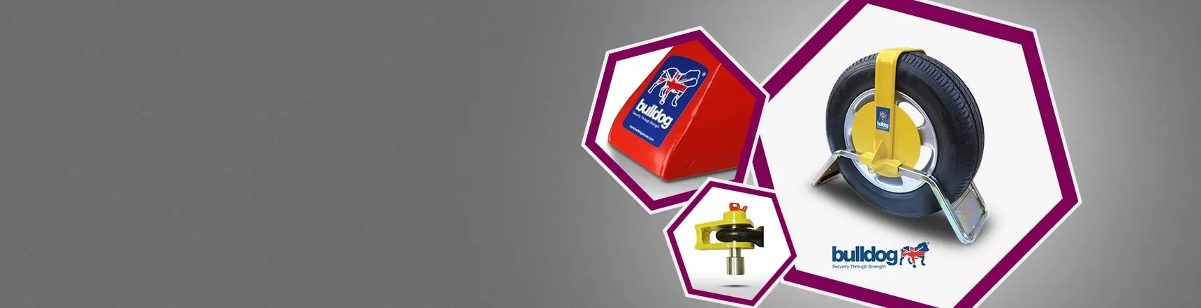 Bulldog Security Products