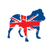 Bulldog Security Products